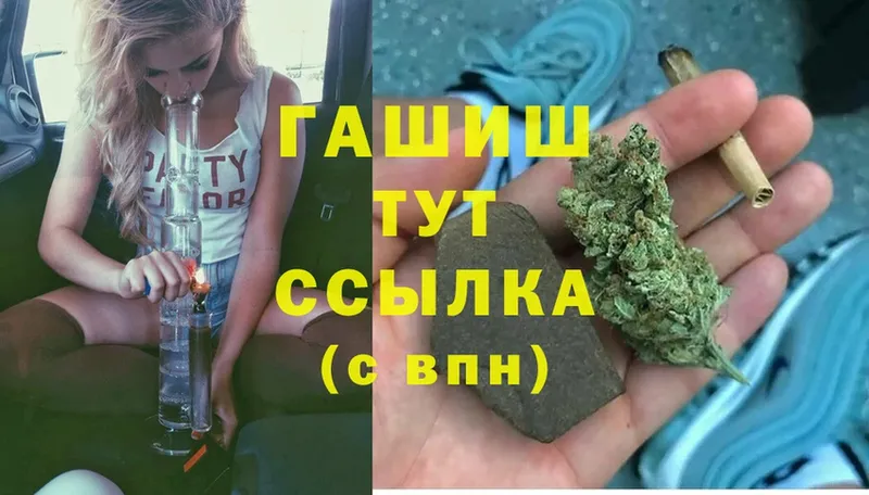 mega ссылка  как найти закладки  Тара  Гашиш hashish 